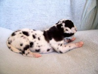 click here to see me grow!