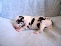 click here to see me grow!