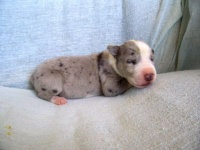 click here to see me grow!